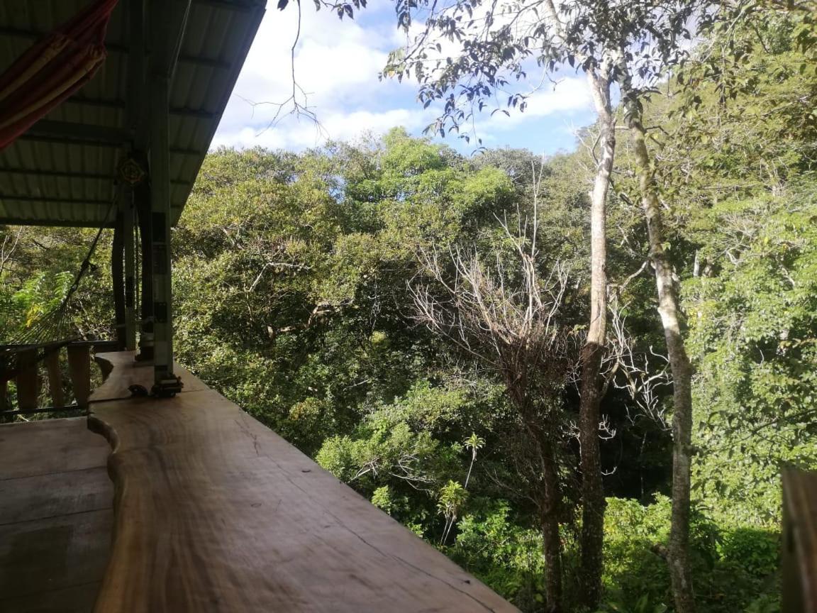 Naranjo  Casa El Colibriヴィラ エクステリア 写真