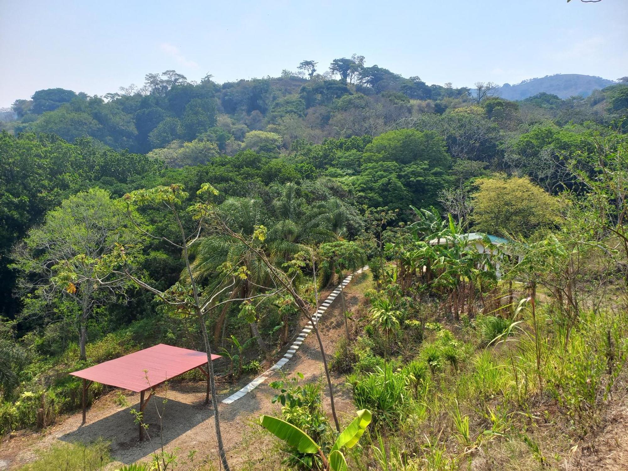 Naranjo  Casa El Colibriヴィラ エクステリア 写真