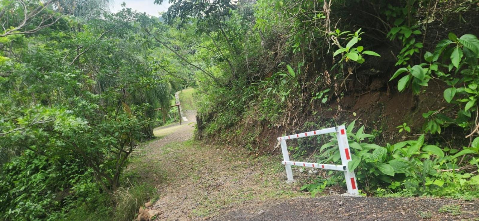 Naranjo  Casa El Colibriヴィラ エクステリア 写真