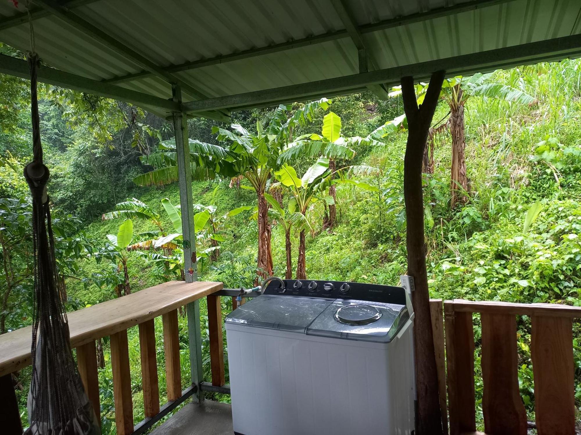 Naranjo  Casa El Colibriヴィラ エクステリア 写真